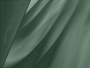 西豐縣喂養用品有限責任公司